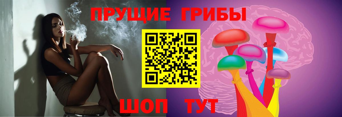 Галлюциногенные грибы GOLDEN TEACHER Избербаш