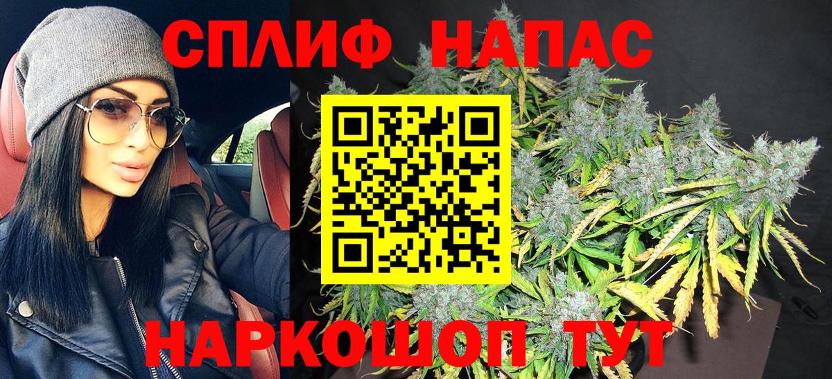Шишки марихуана марихуана  Вход с VPN  Избербаш  МАРИХУАНА THC 21%  МАРИХУАНА сатива 
